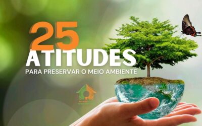 25 atitudes para preservar o meio ambiente